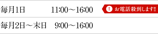毎月１日は11：00～16：00、毎月２日～末日は9：00～16：00